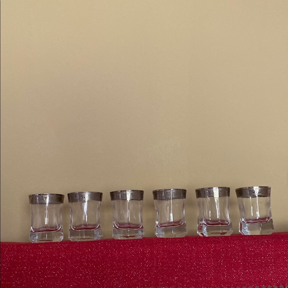 Set of 6 Hand Painted Textured Silver Key Glasses